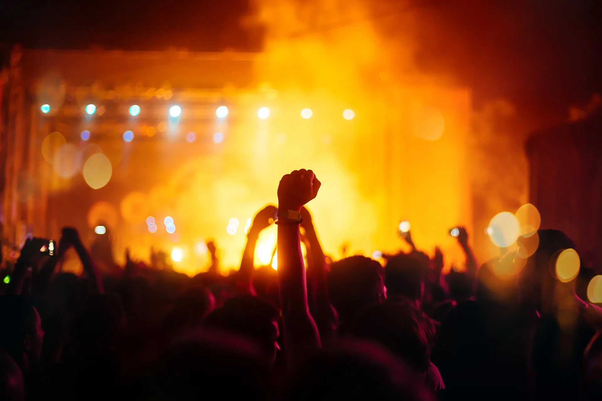 party-people-attending-a-concert-2023-11-27-05-35-26-utc.jpg